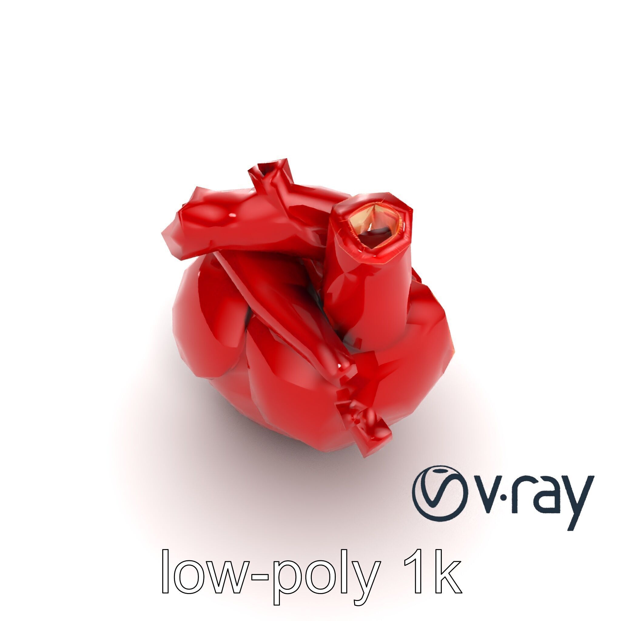 Detailed Heart Anatomy Model Pack Low-poly 3D model_15