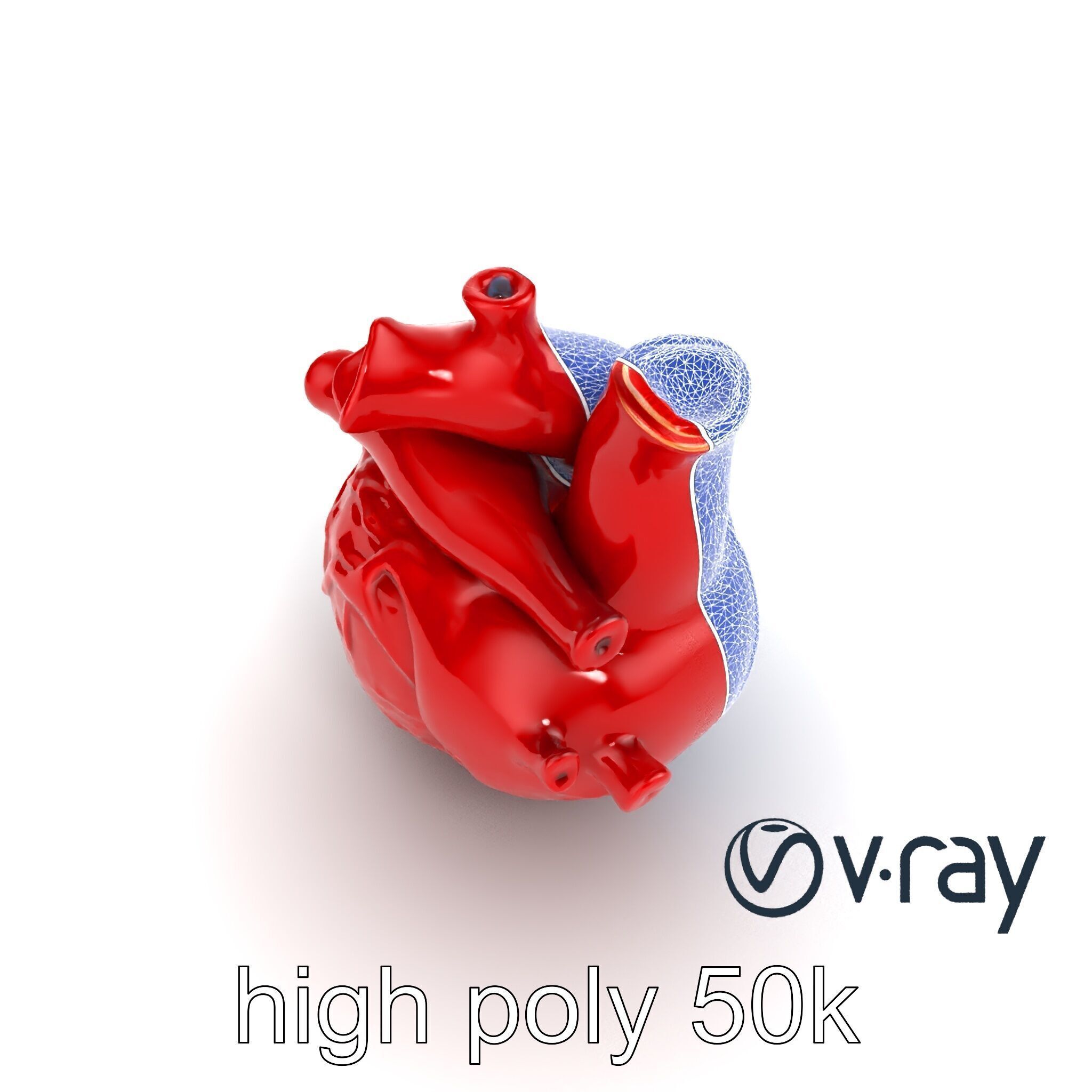 Detailed Heart Anatomy Model Pack Low-poly 3D model_32