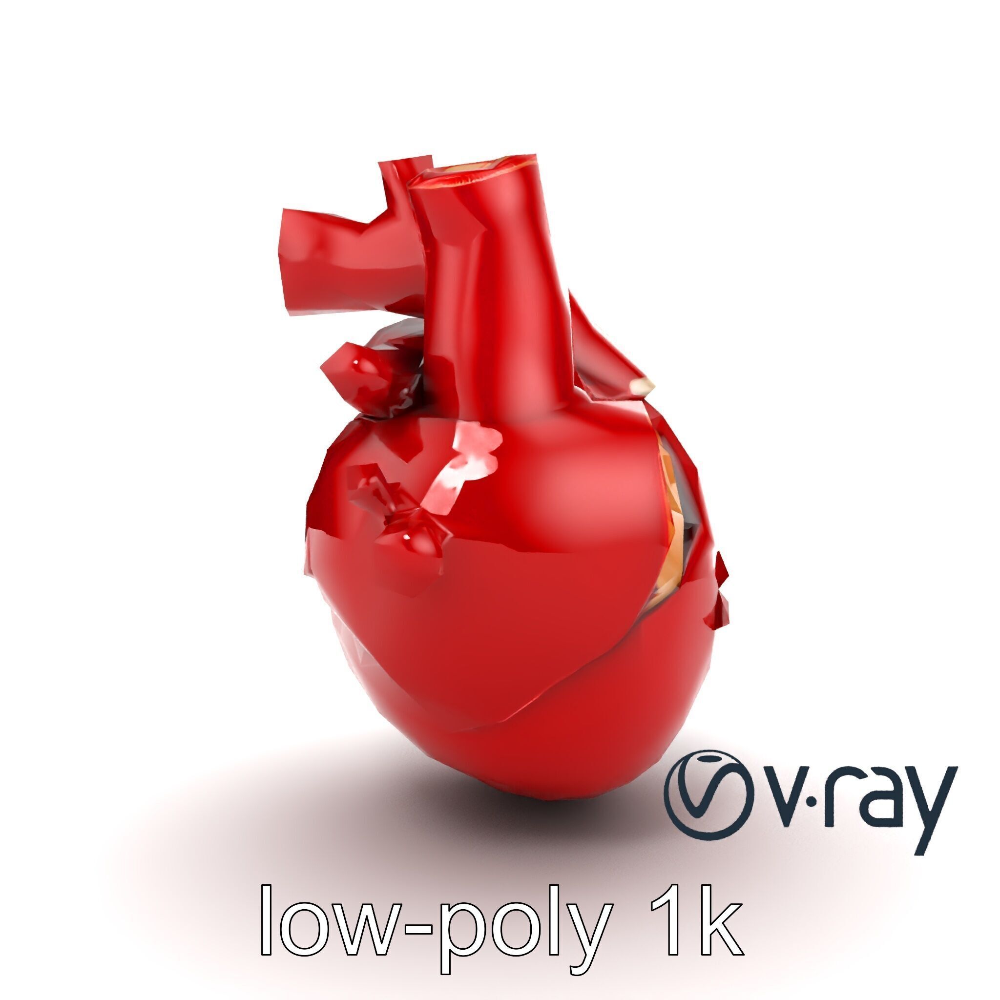 Detailed Heart Anatomy Model Pack Low-poly 3D model_18