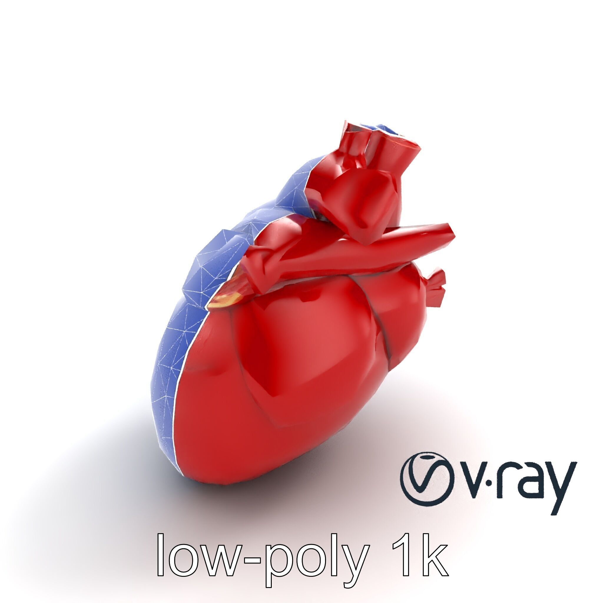 Detailed Heart Anatomy Model Pack Low-poly 3D model_17