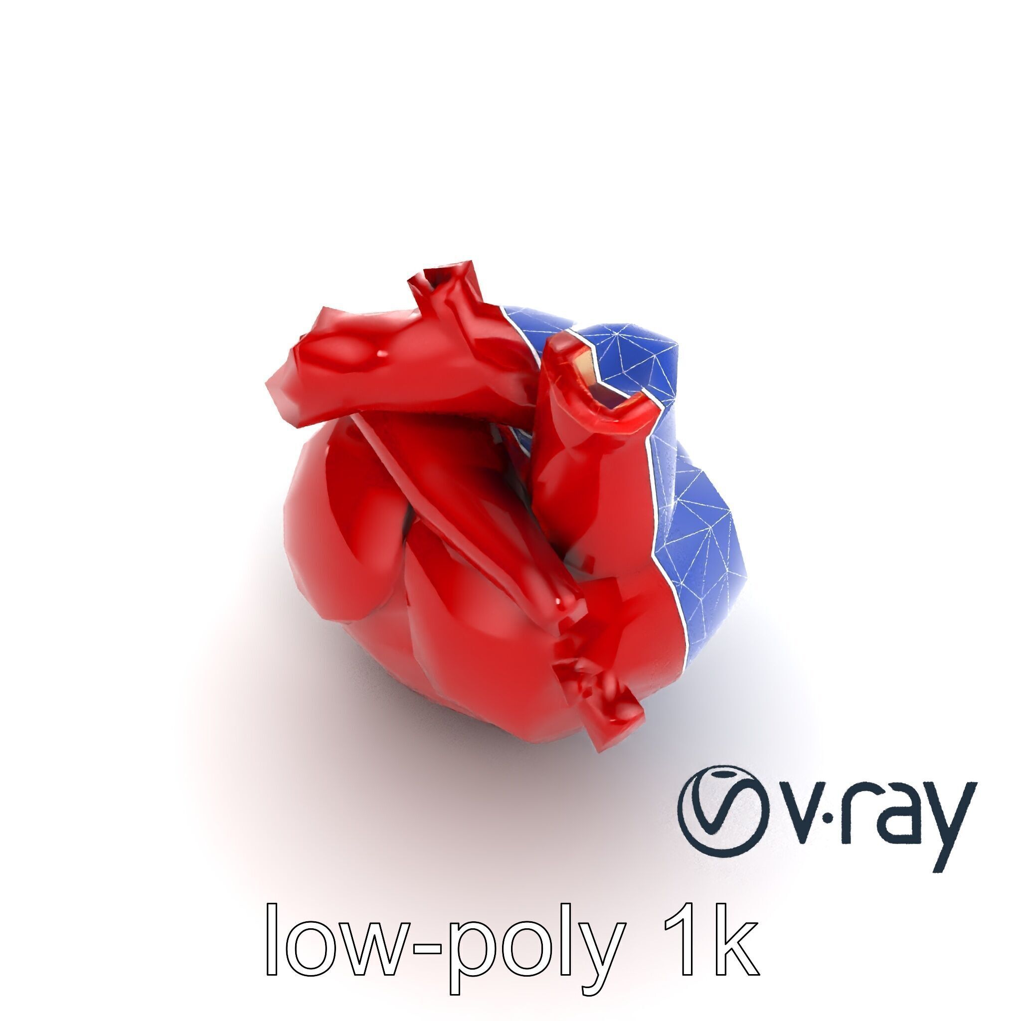 Detailed Heart Anatomy Model Pack Low-poly 3D model_14