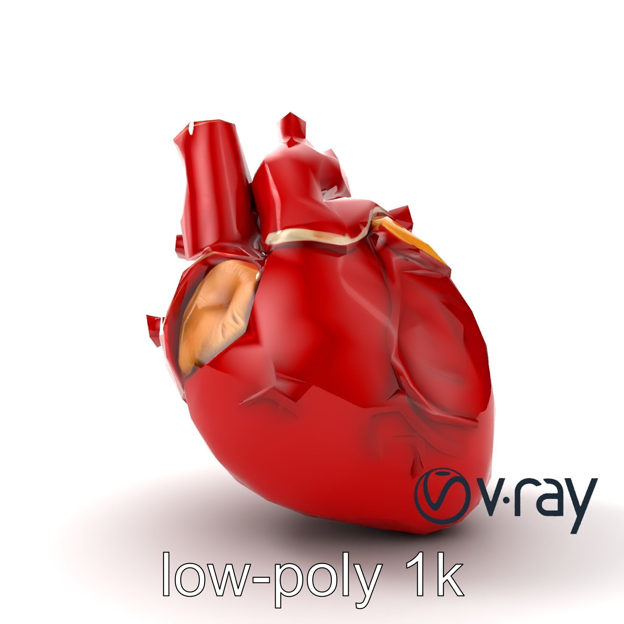 Detailed Heart Anatomy Model Pack Low-poly 3D model_11