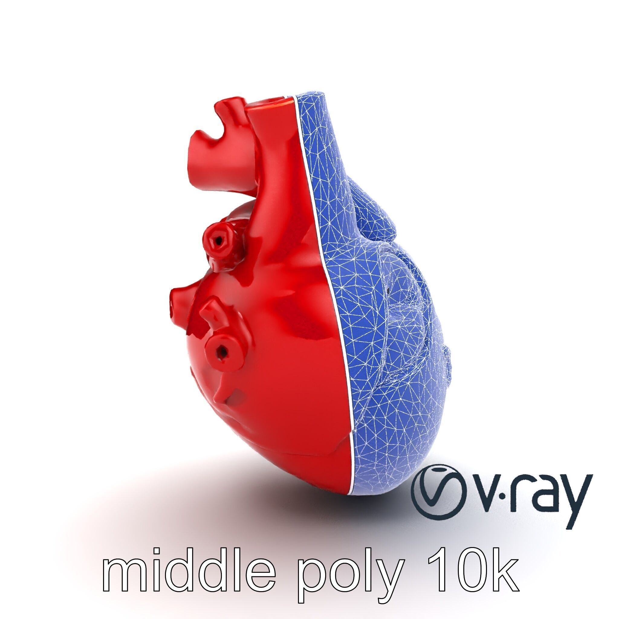 Detailed Heart Anatomy Model Pack Low-poly 3D model_29