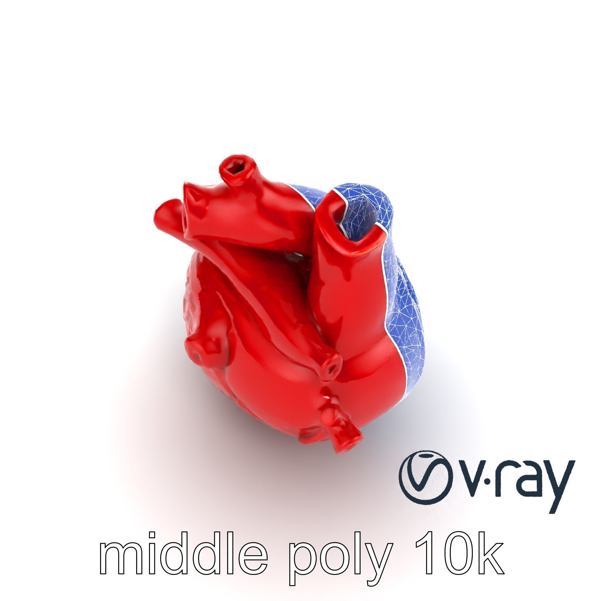 Detailed Heart Anatomy Model Pack Low-poly 3D model_22