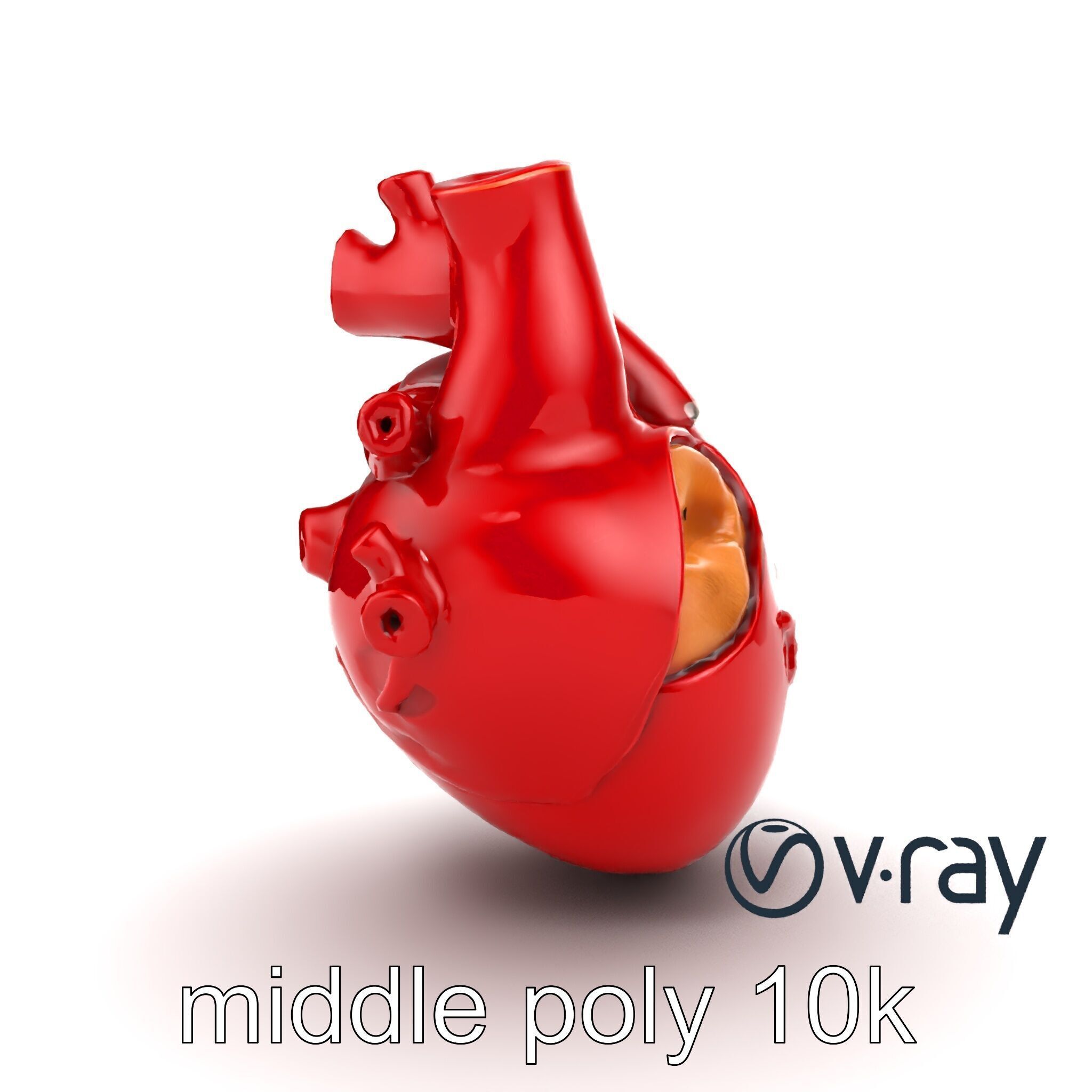 Detailed Heart Anatomy Model Pack Low-poly 3D model_27