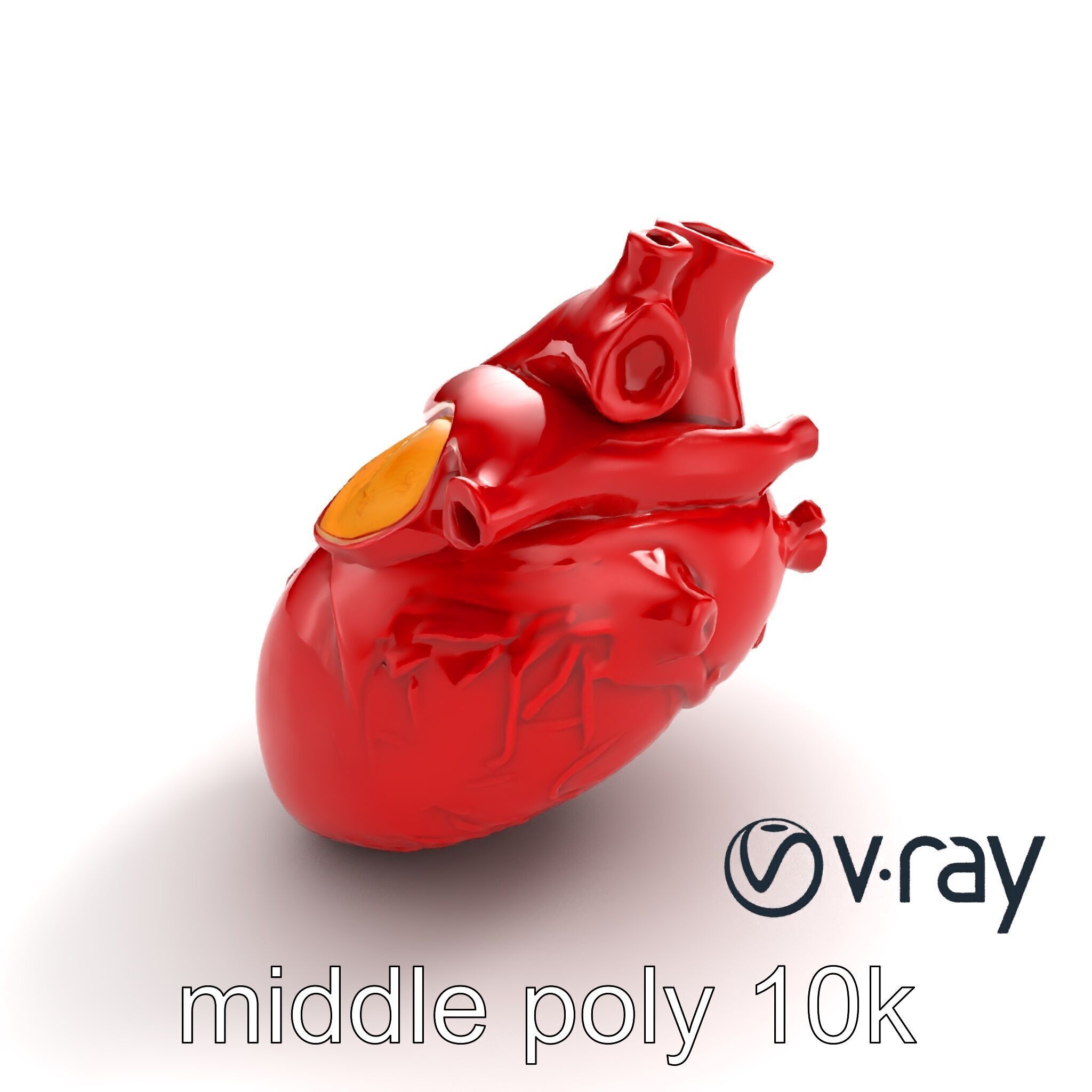 Detailed Heart Anatomy Model Pack Low-poly 3D model_6
