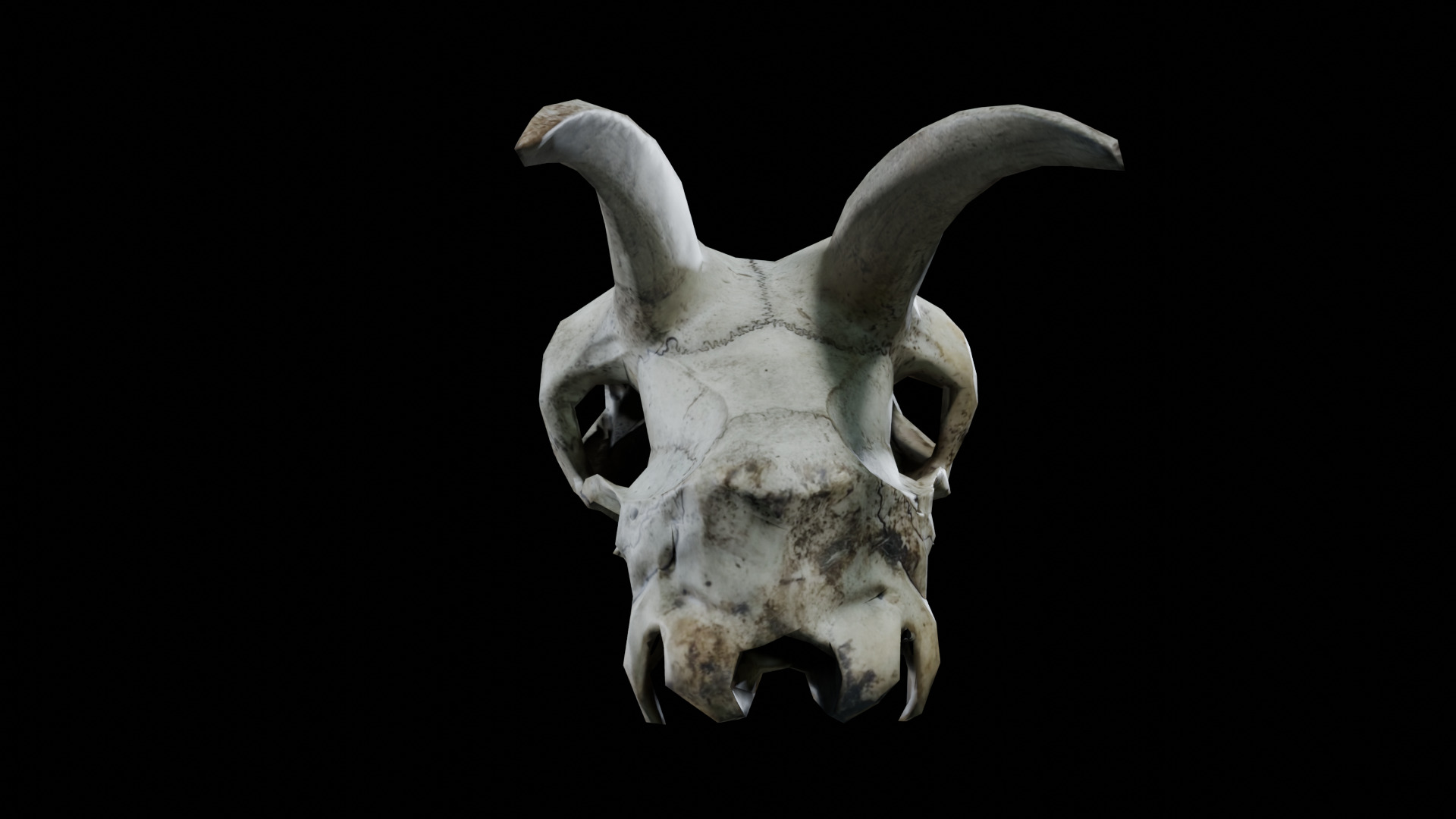 Goat Skull Low-poly 3D model_4