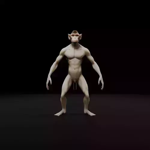 Anthropomorphic Rig-Ready Monkey - Low Poly Asset Low-poly 3D model