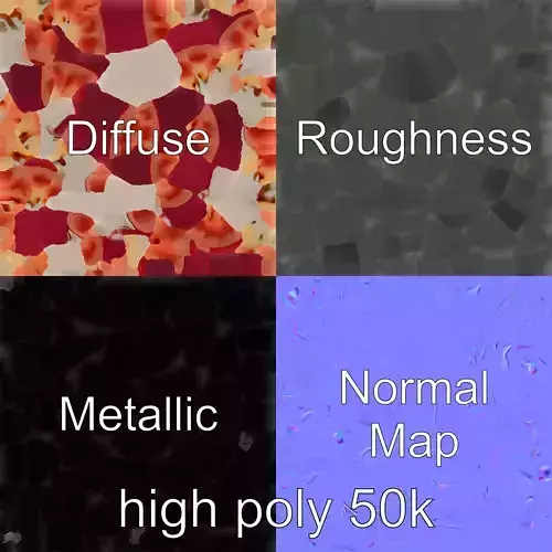 Anatomical Kidney Cross-Section Model Pack