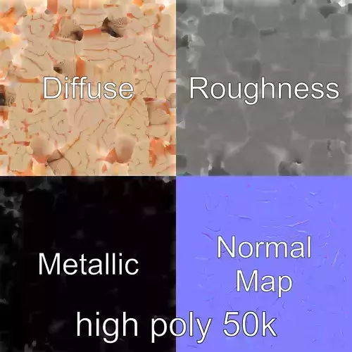 Brain Anatomy Detailed Model Pack Low-poly 3D model