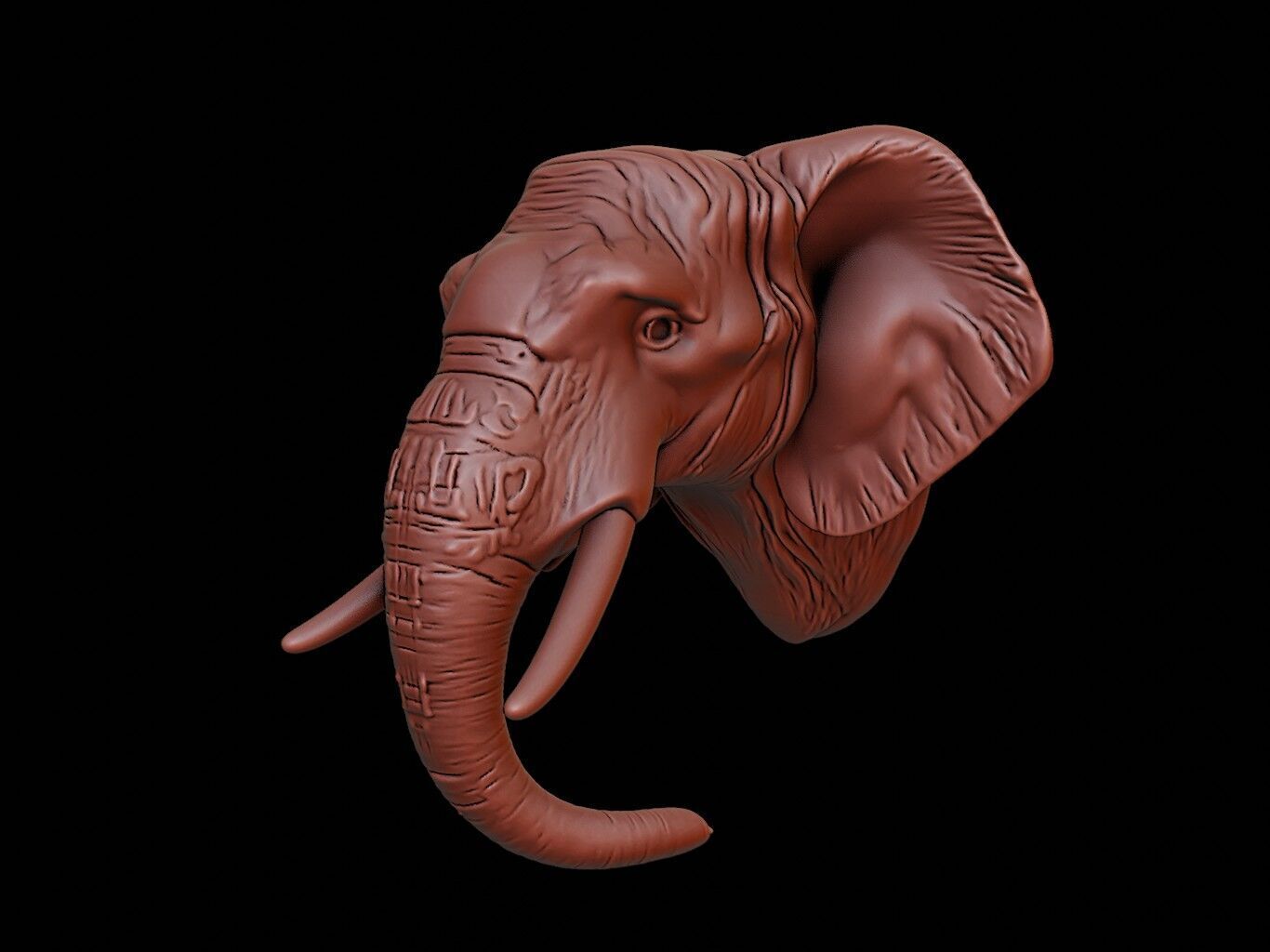 Elephant Animal Bust 3D print model_1