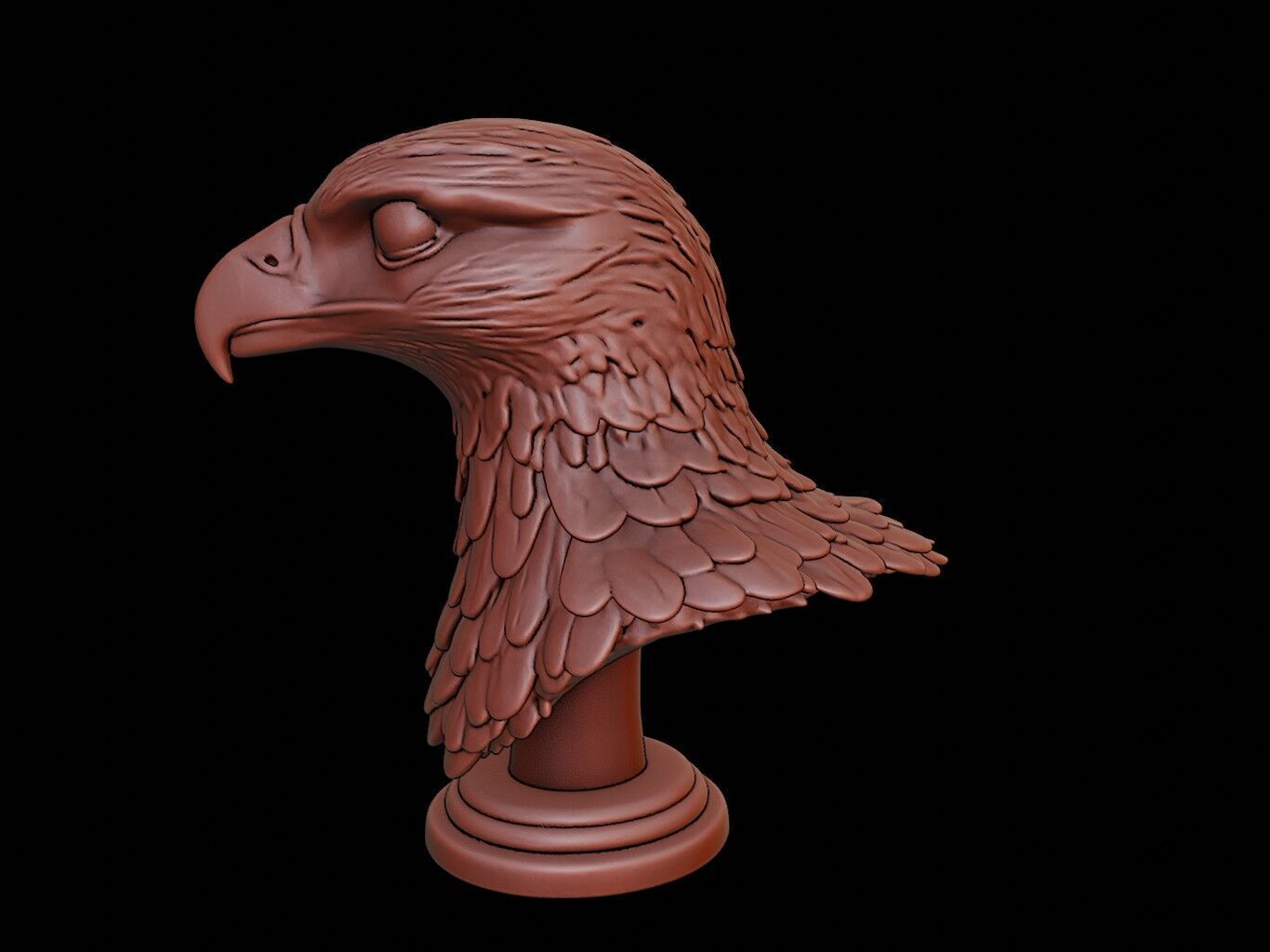 Falcon Animal Bust 3D print model_1