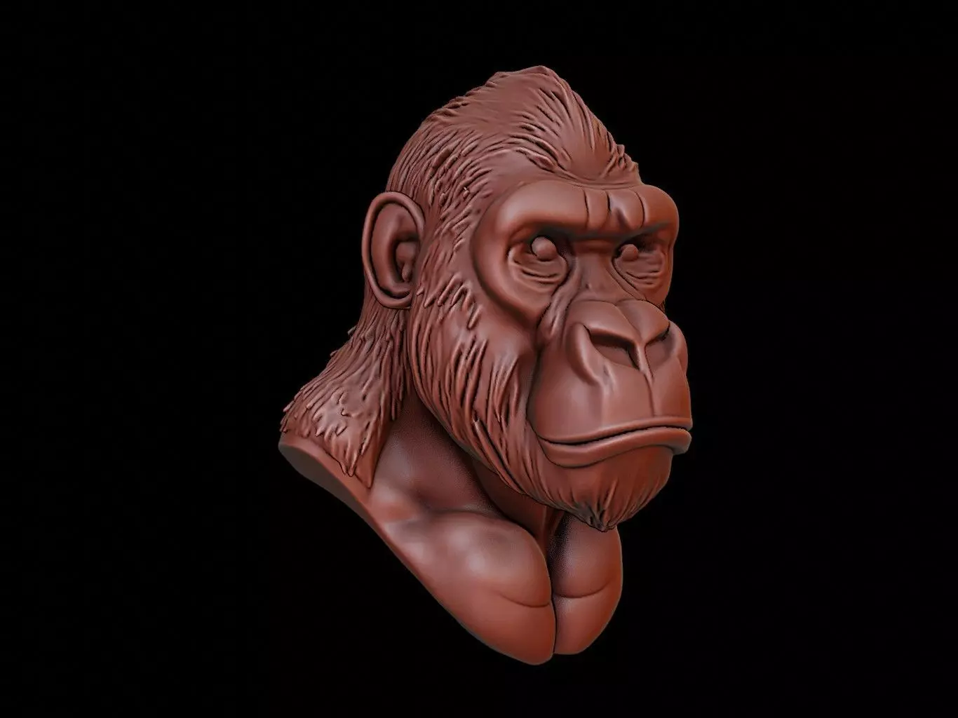 Gorilla Animal Bust 3D print model_0