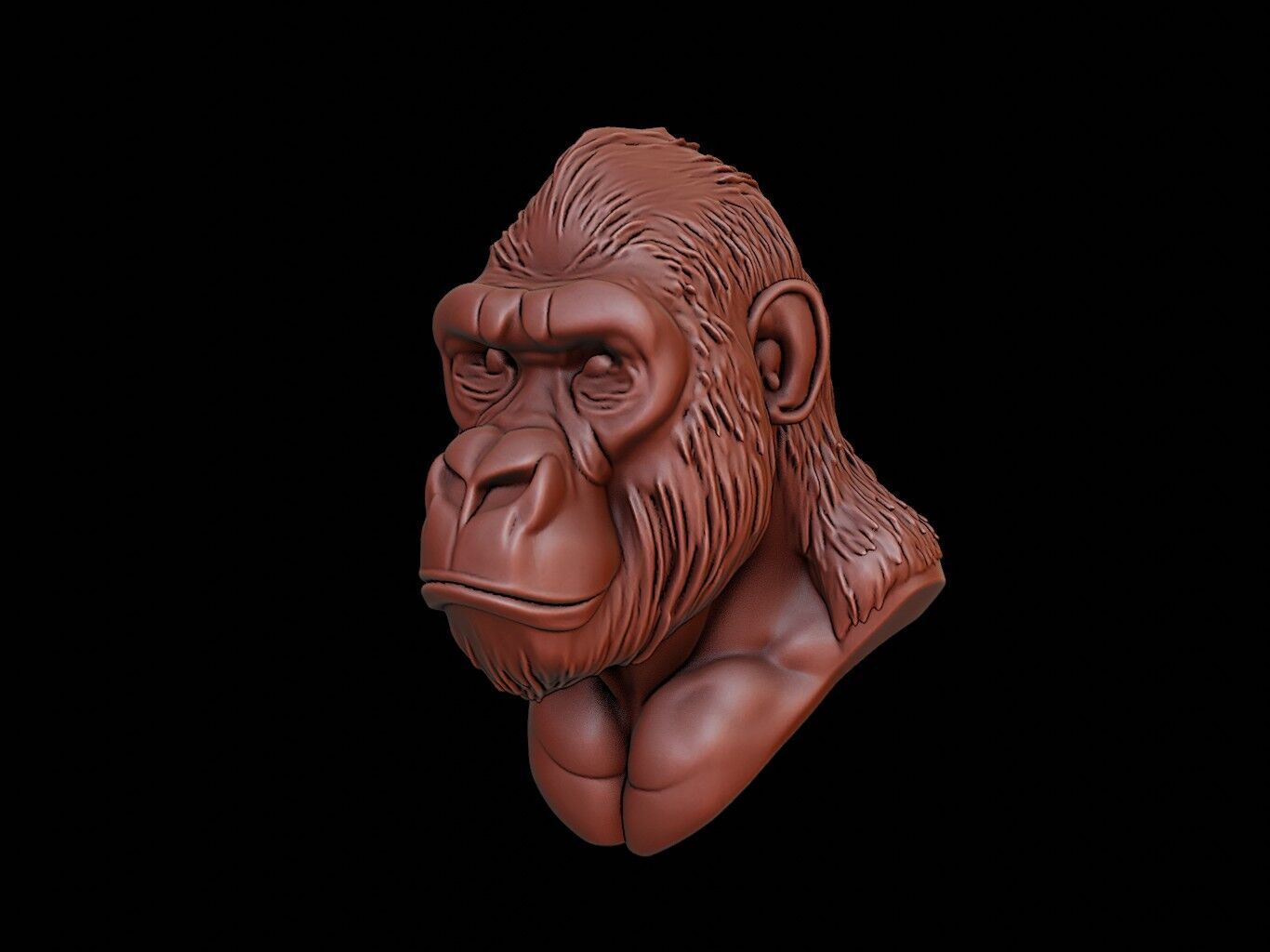 Gorilla Animal Bust 3D print model_1