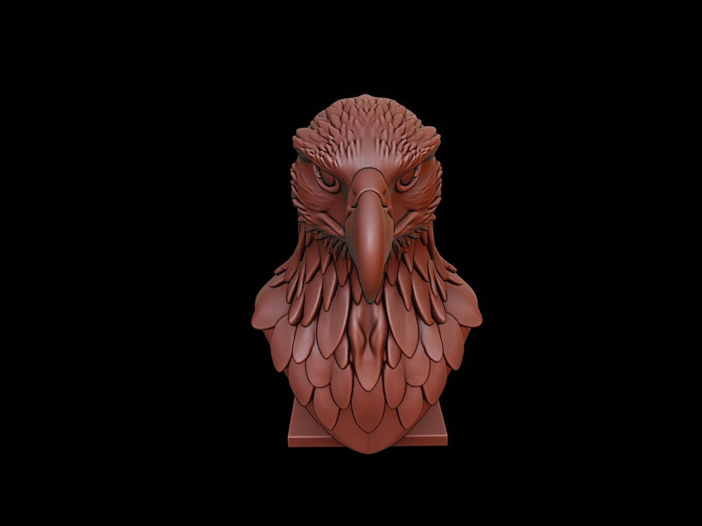 Hawk Animal Bust 3D print model_2