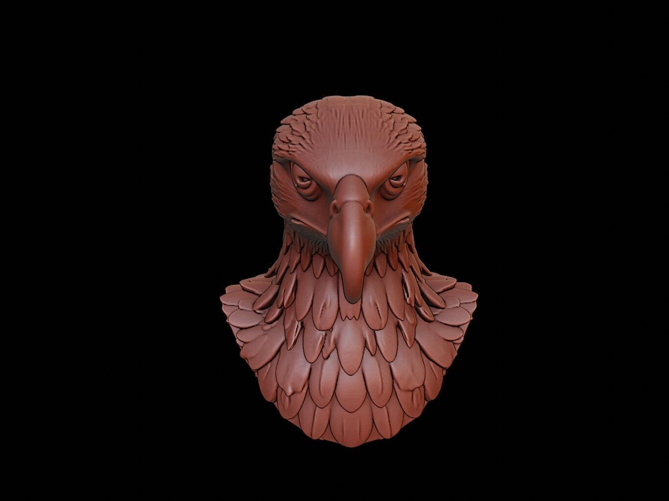 Hawk Animal Bust 3D print model_2