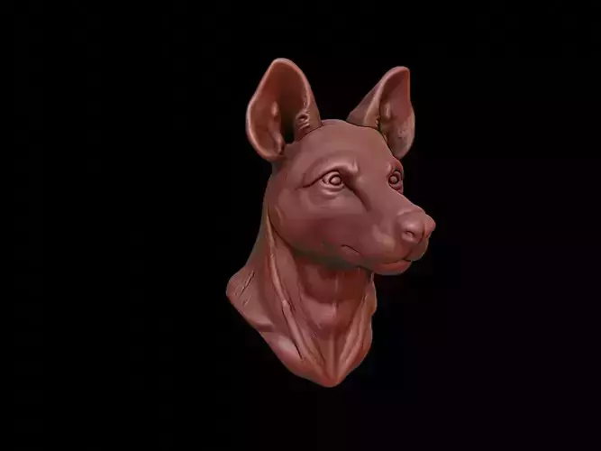 Hyena Animal Bust