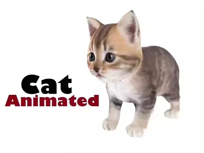 animated cat 01
