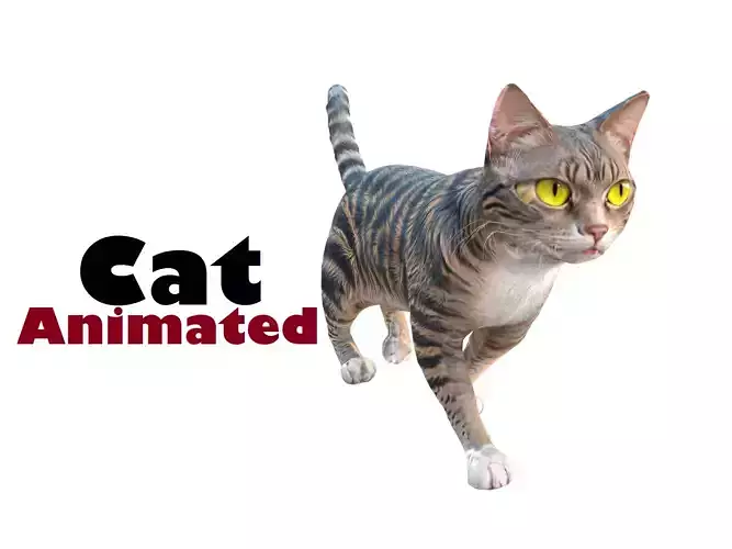 animated cat 02
