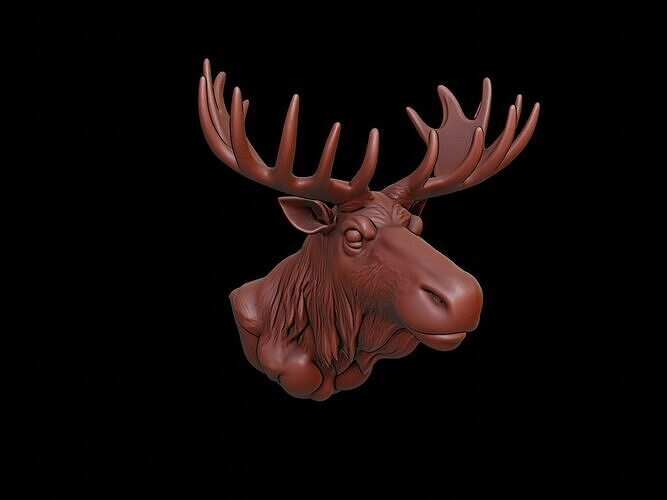 Moose Animal Bust 3D print model