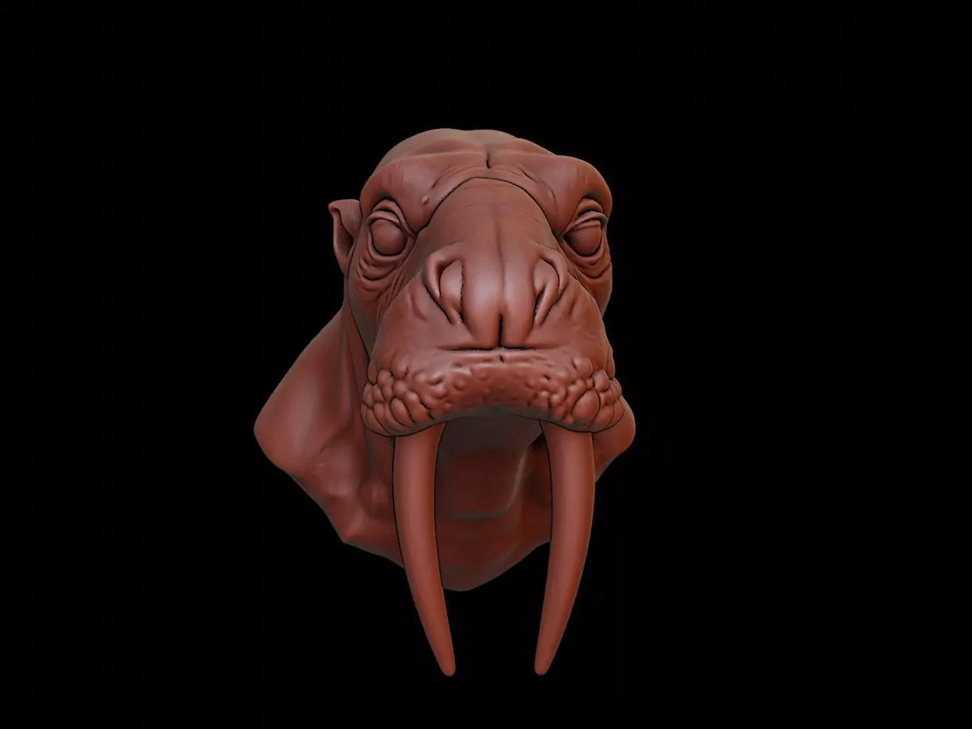 Walrus Animal Bust 3D print model_0