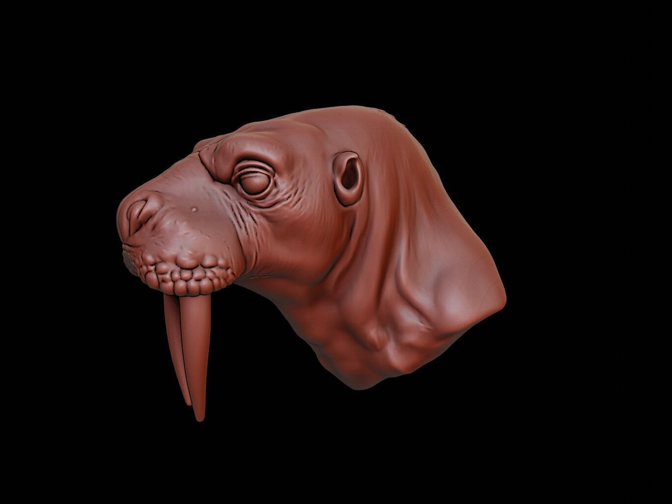 Walrus Animal Bust 3D print model_1