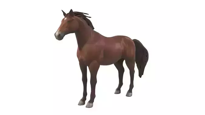 horse