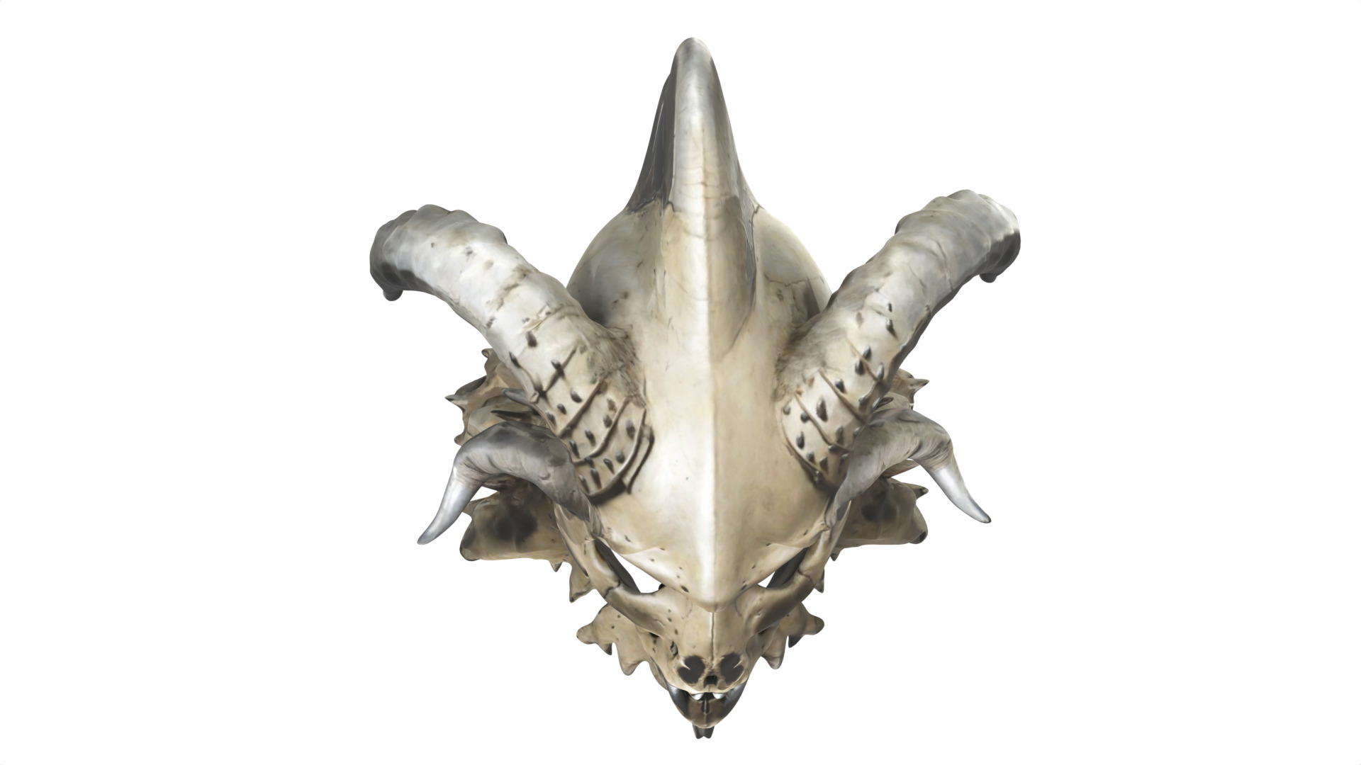 skull mask Low-poly 3D model_6