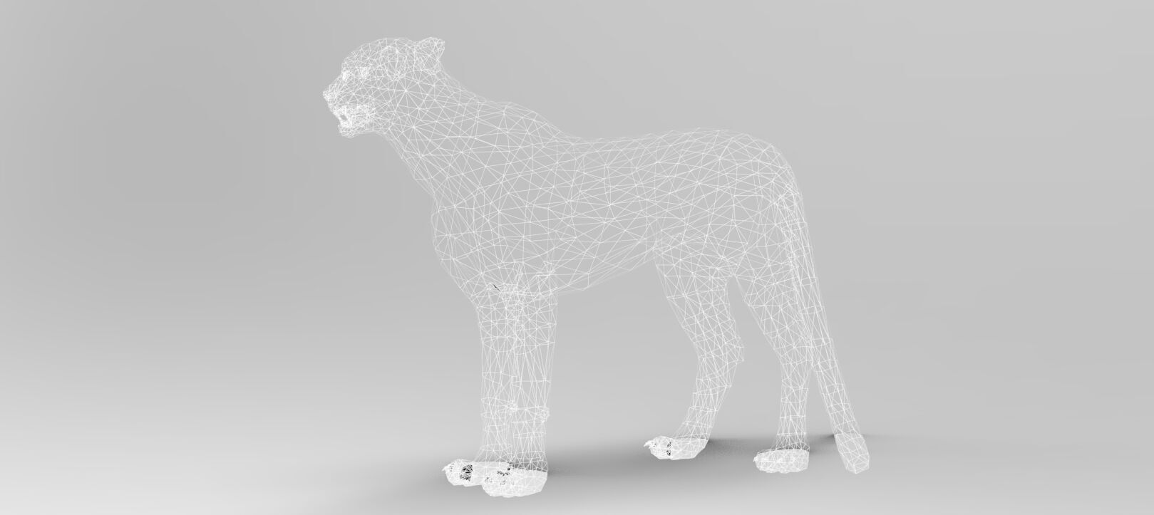 Cheetah - Rigged - Animated Low-poly 3D model_10