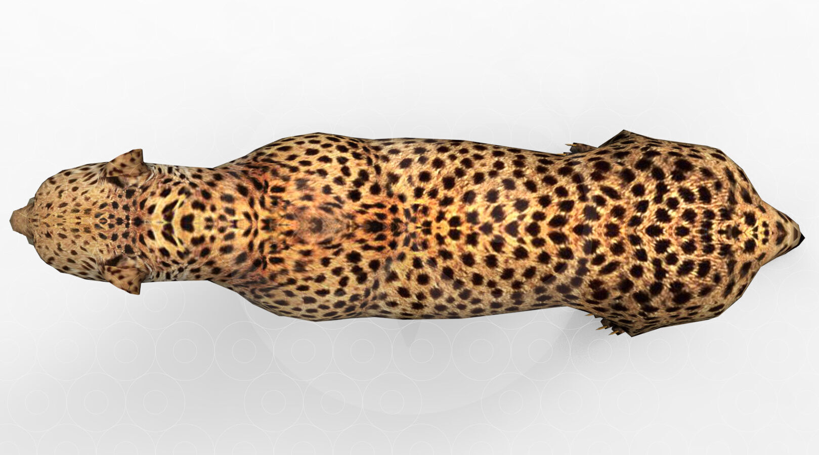 Cheetah - Rigged - Animated Low-poly 3D model_7