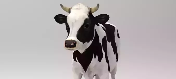 White Cow - Rigged - Animated