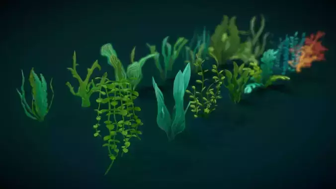 Stylish aquatic plants