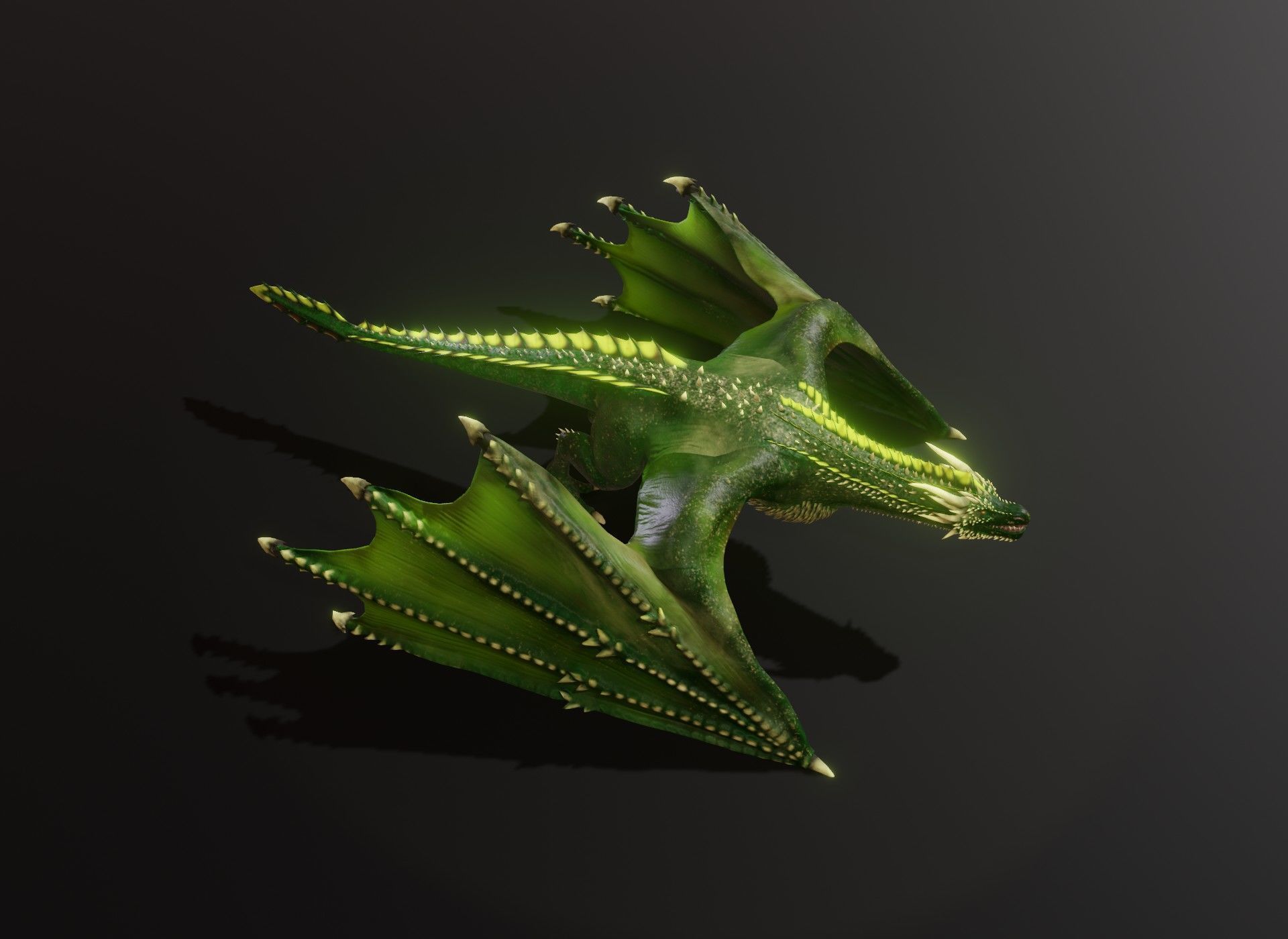 Realistic Animated Wyverns 3d Model Collection _36