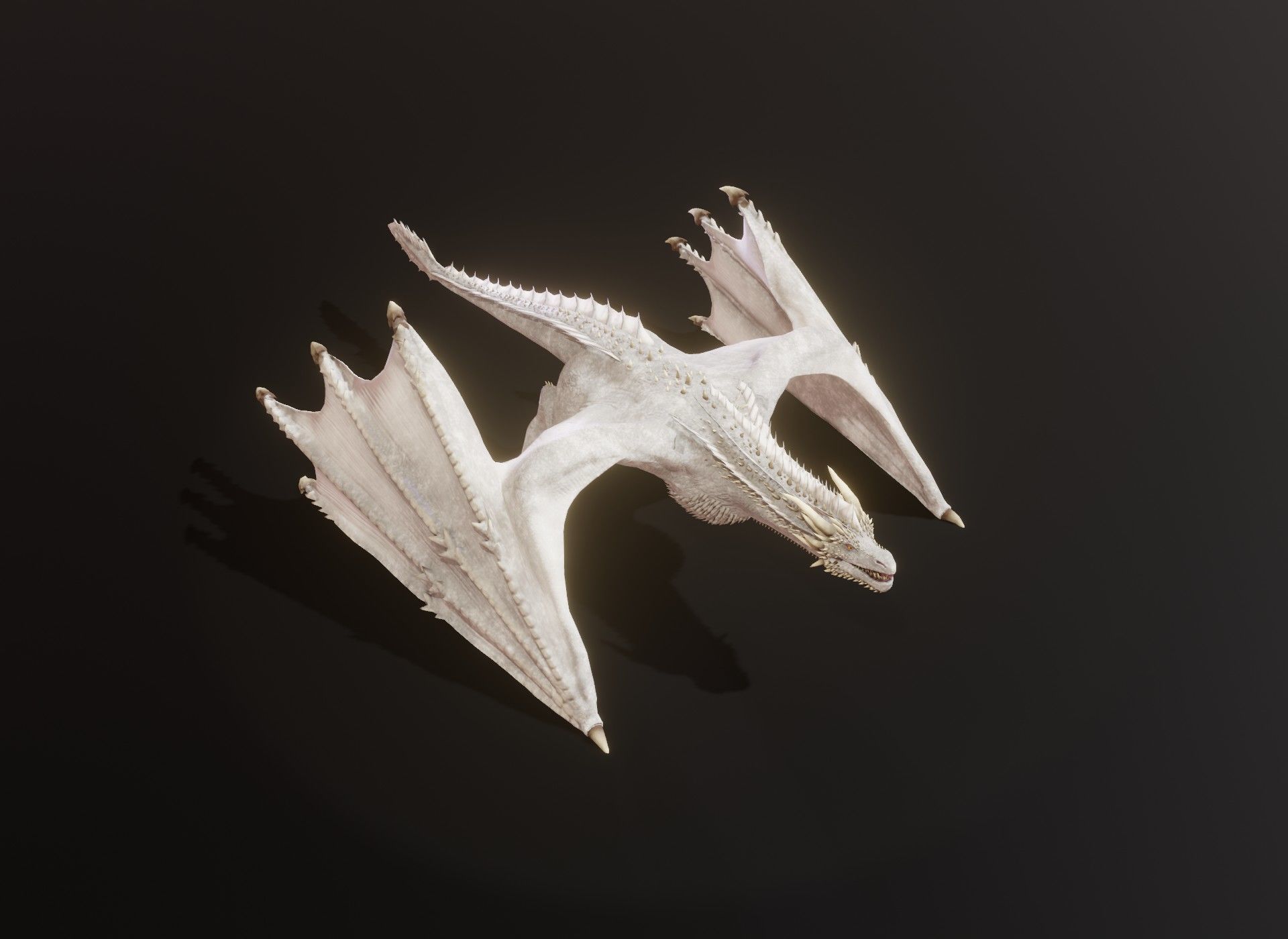 Realistic Animated Wyverns 3d Model Collection _48