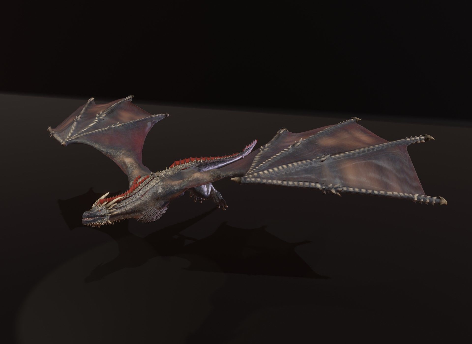 Realistic Animated Wyverns 3d Model Collection _30