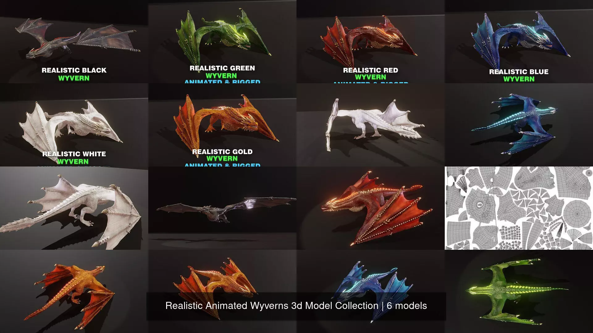 Realistic Animated Wyverns 3d Model Collection _0