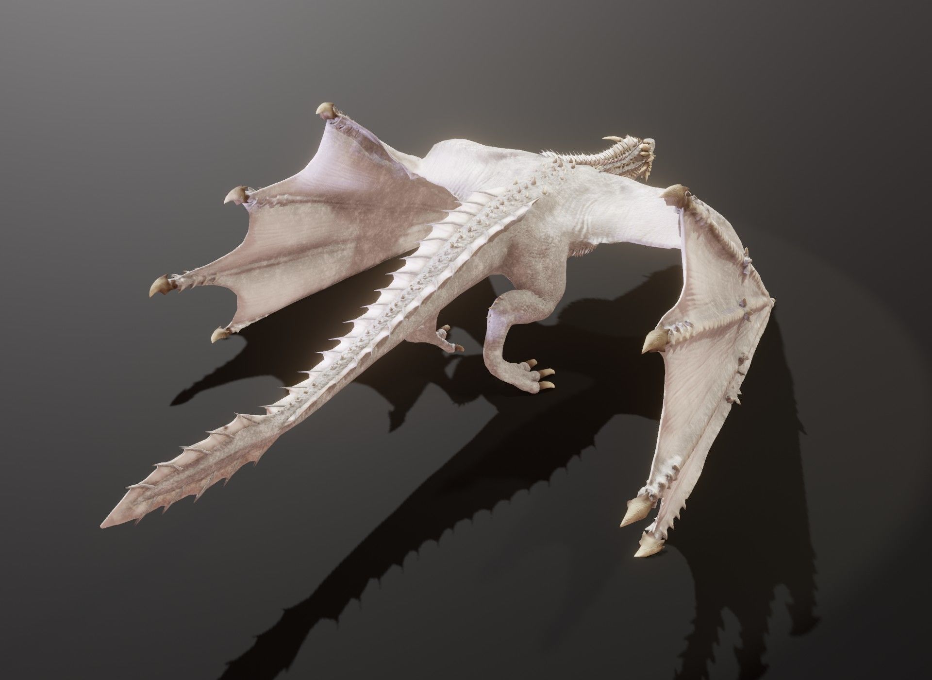 Realistic Animated Wyverns 3d Model Collection _49