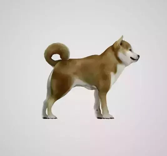 REALISTIC 3D DOG MODEL