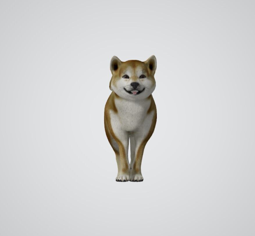 REALISTIC 3D DOG MODEL Low-poly 3D model_3