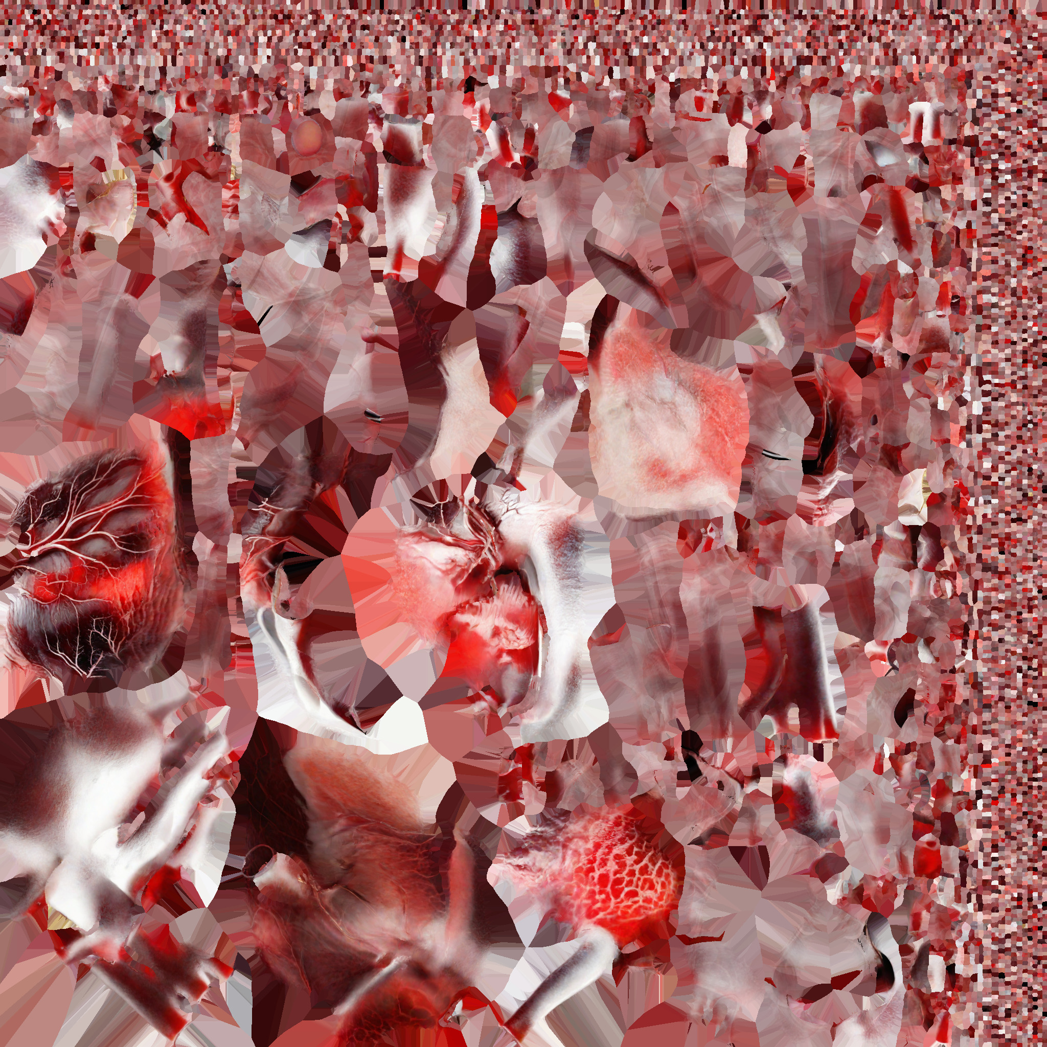 Human Heart 3D model_9