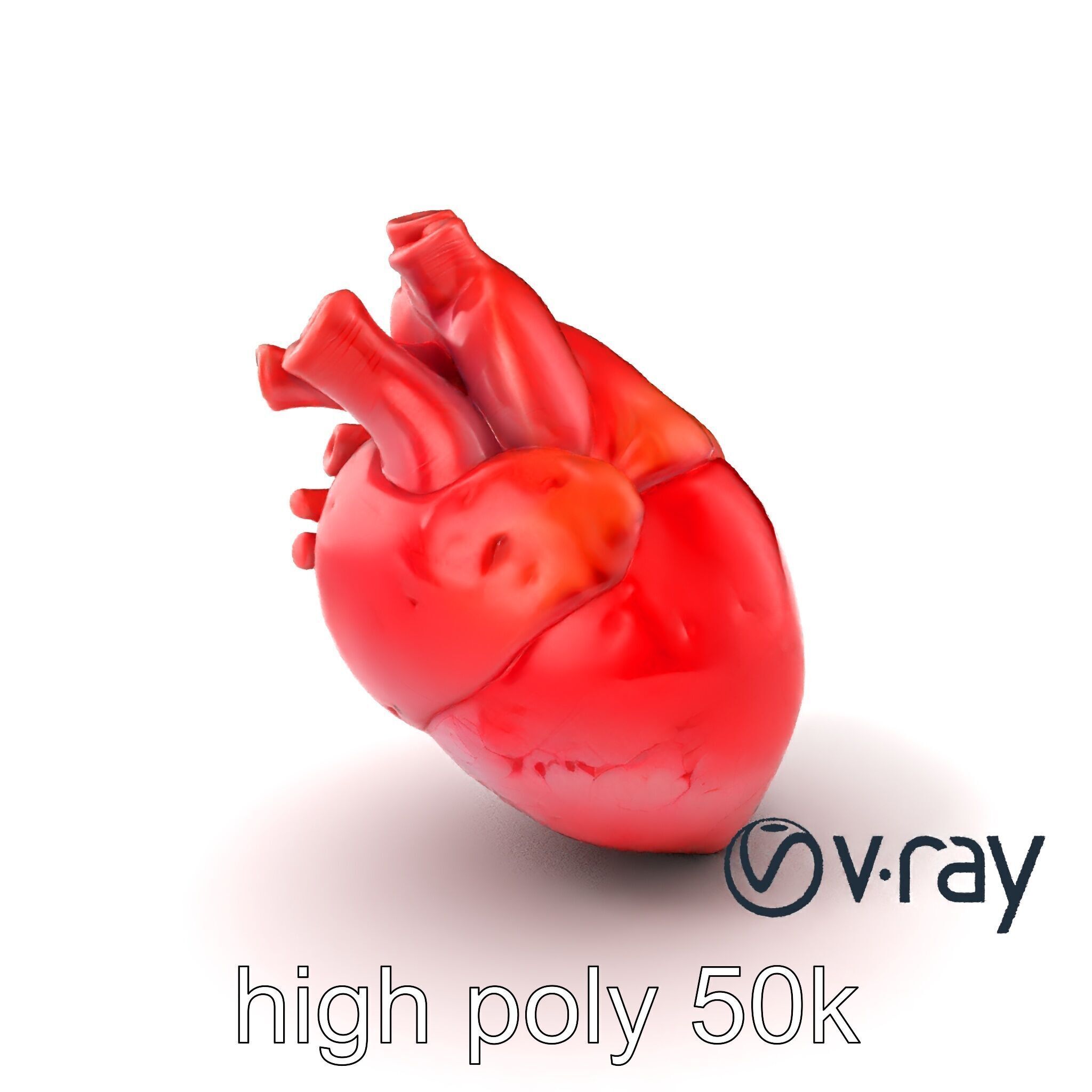 Realistic Human Heart 3D model pack Low-poly 3D model_5