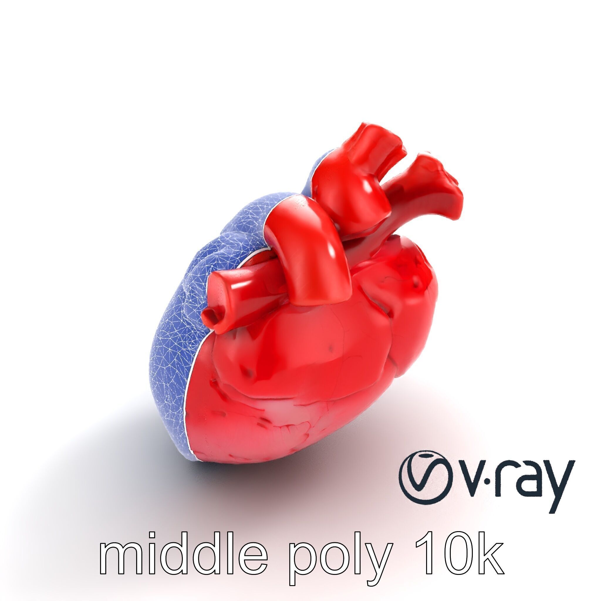 Realistic Human Heart 3D model pack Low-poly 3D model_27