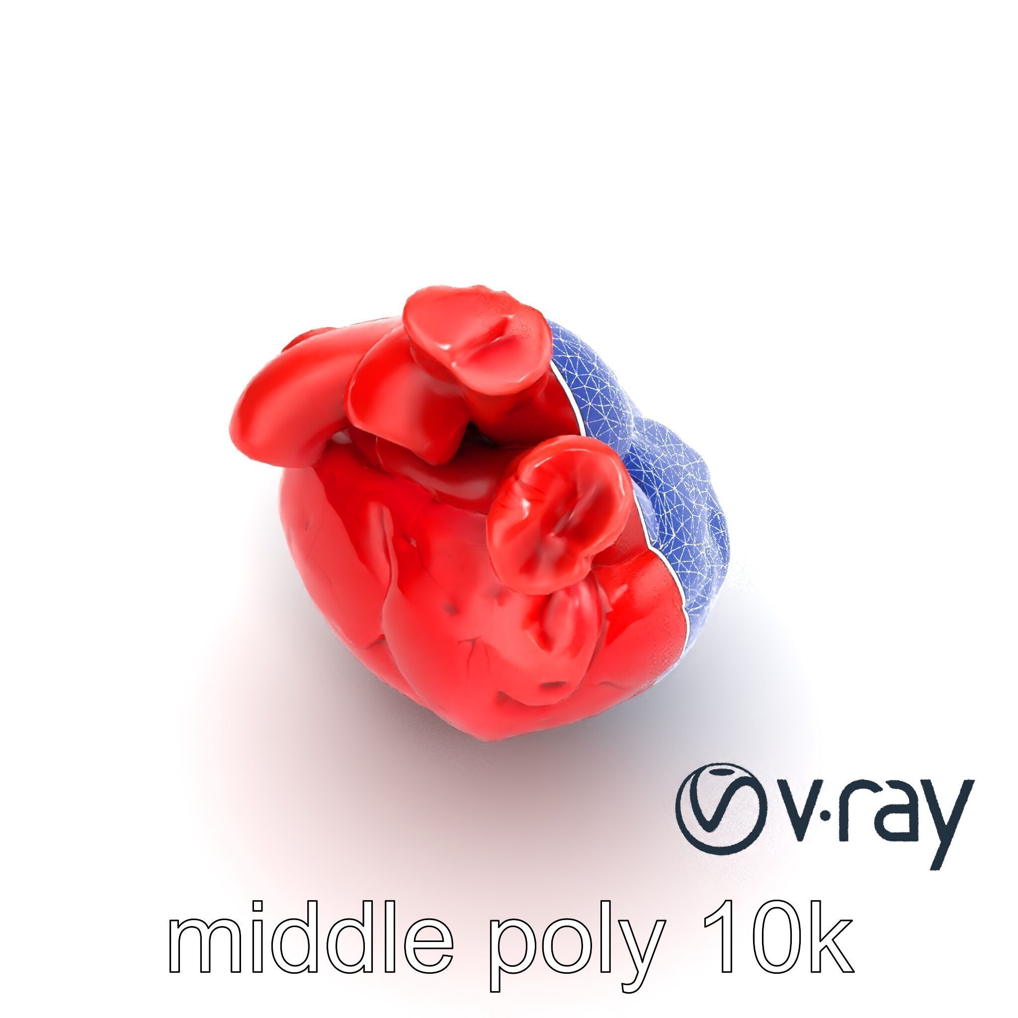 Realistic Human Heart 3D model pack Low-poly 3D model_26