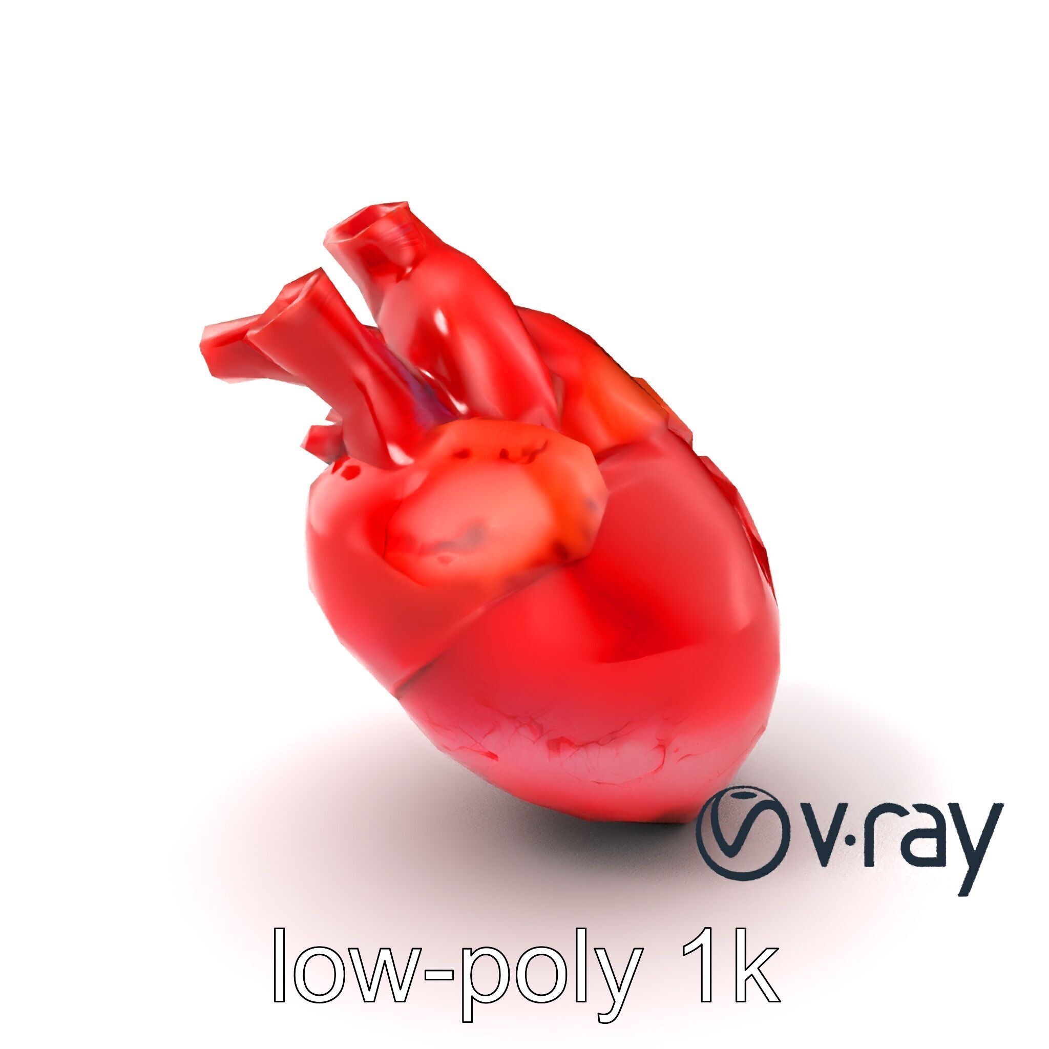 Realistic Human Heart 3D model pack Low-poly 3D model_2