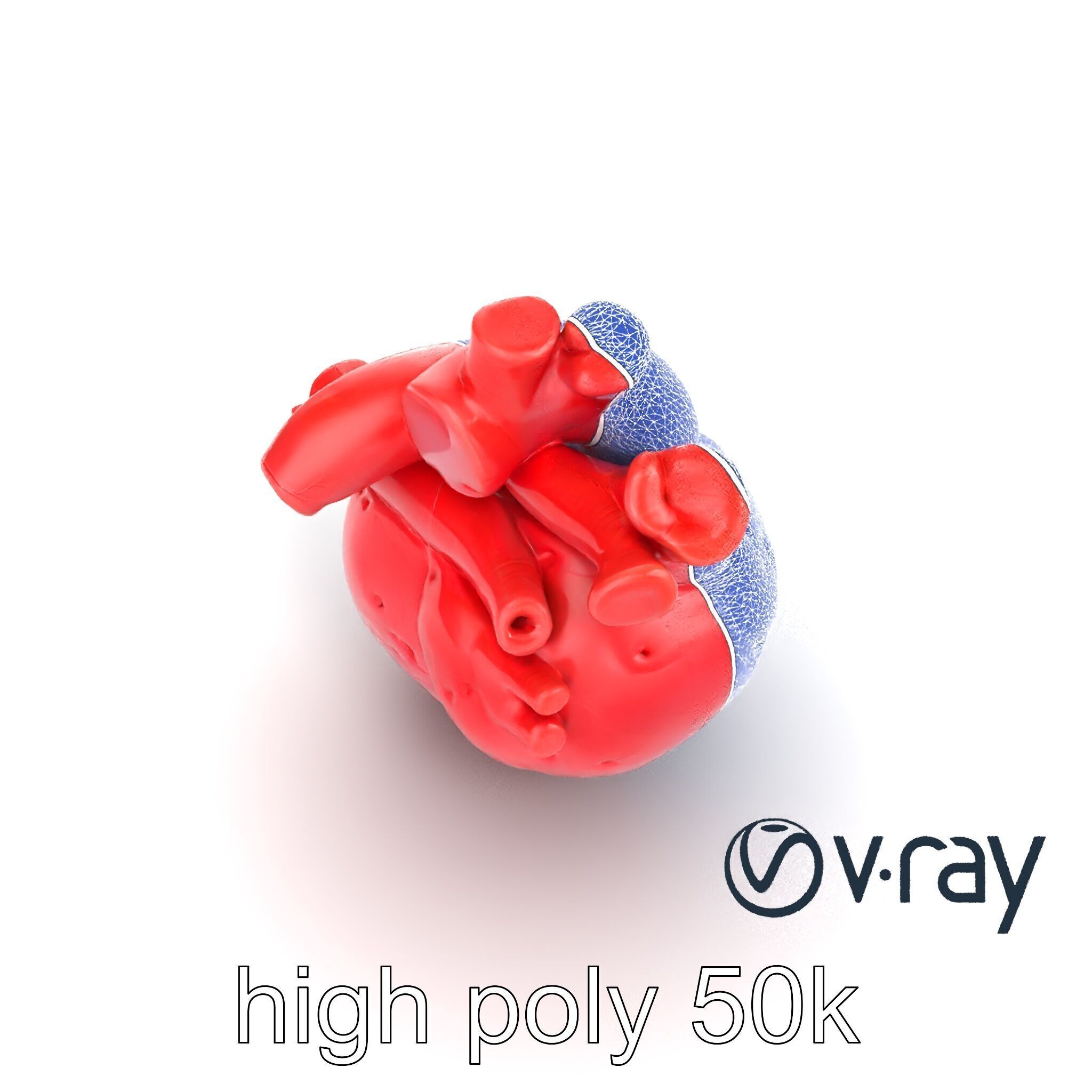 Realistic Human Heart 3D model pack Low-poly 3D model_30