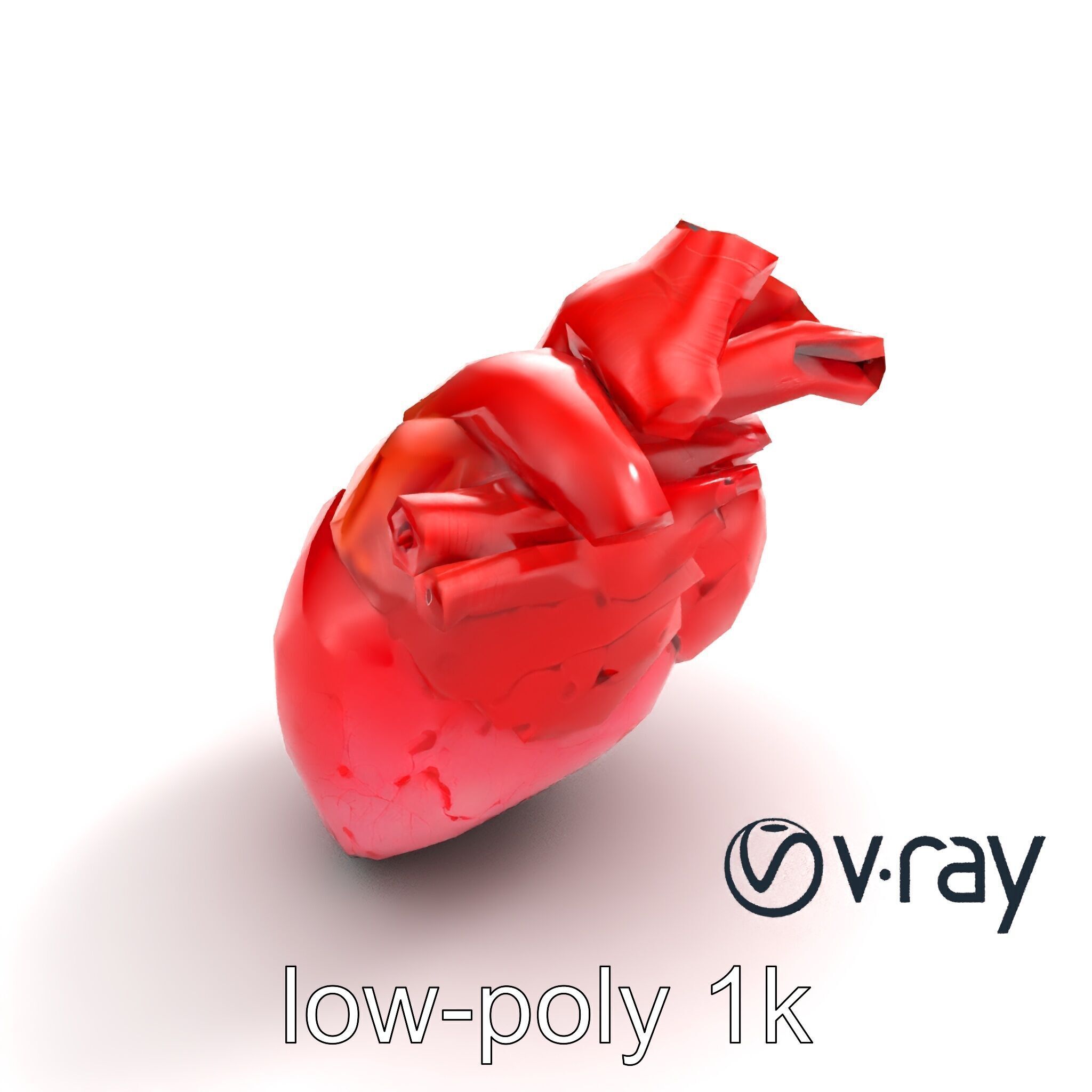 Realistic Human Heart 3D model pack Low-poly 3D model_10