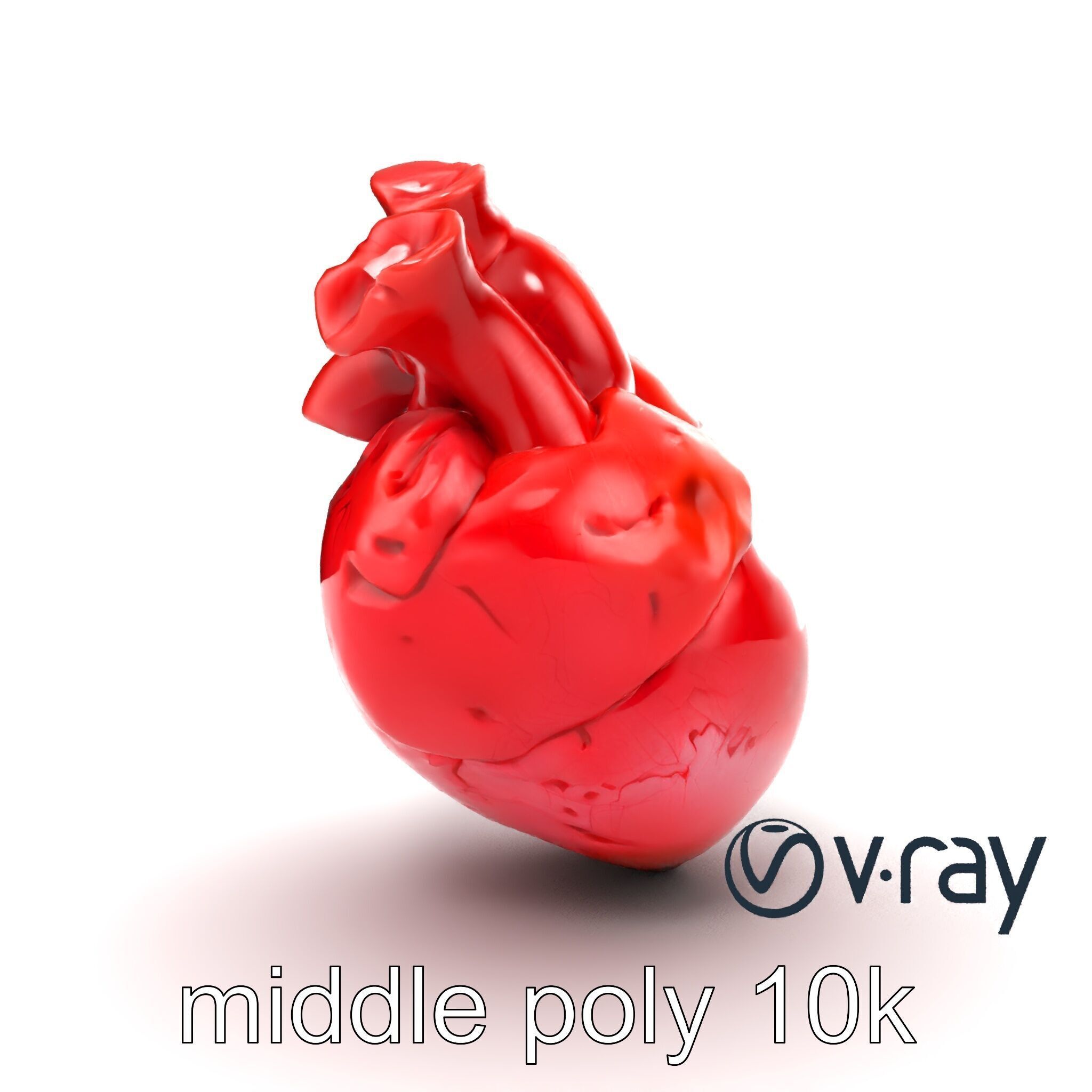 Realistic Human Heart 3D model pack Low-poly 3D model_22