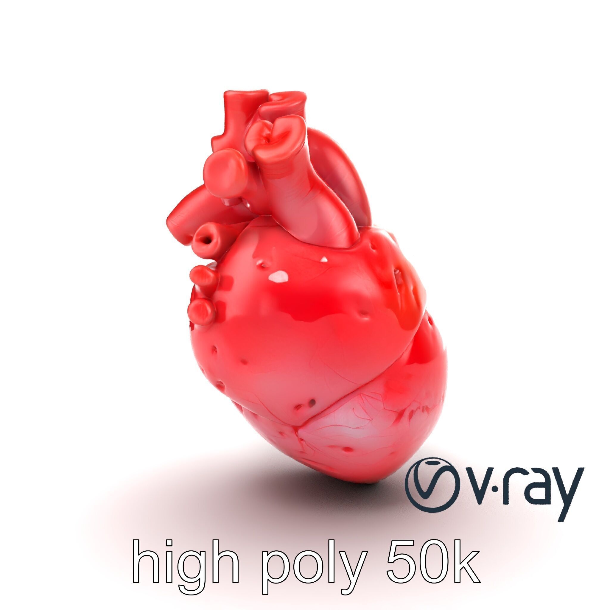 Realistic Human Heart 3D model pack Low-poly 3D model_32