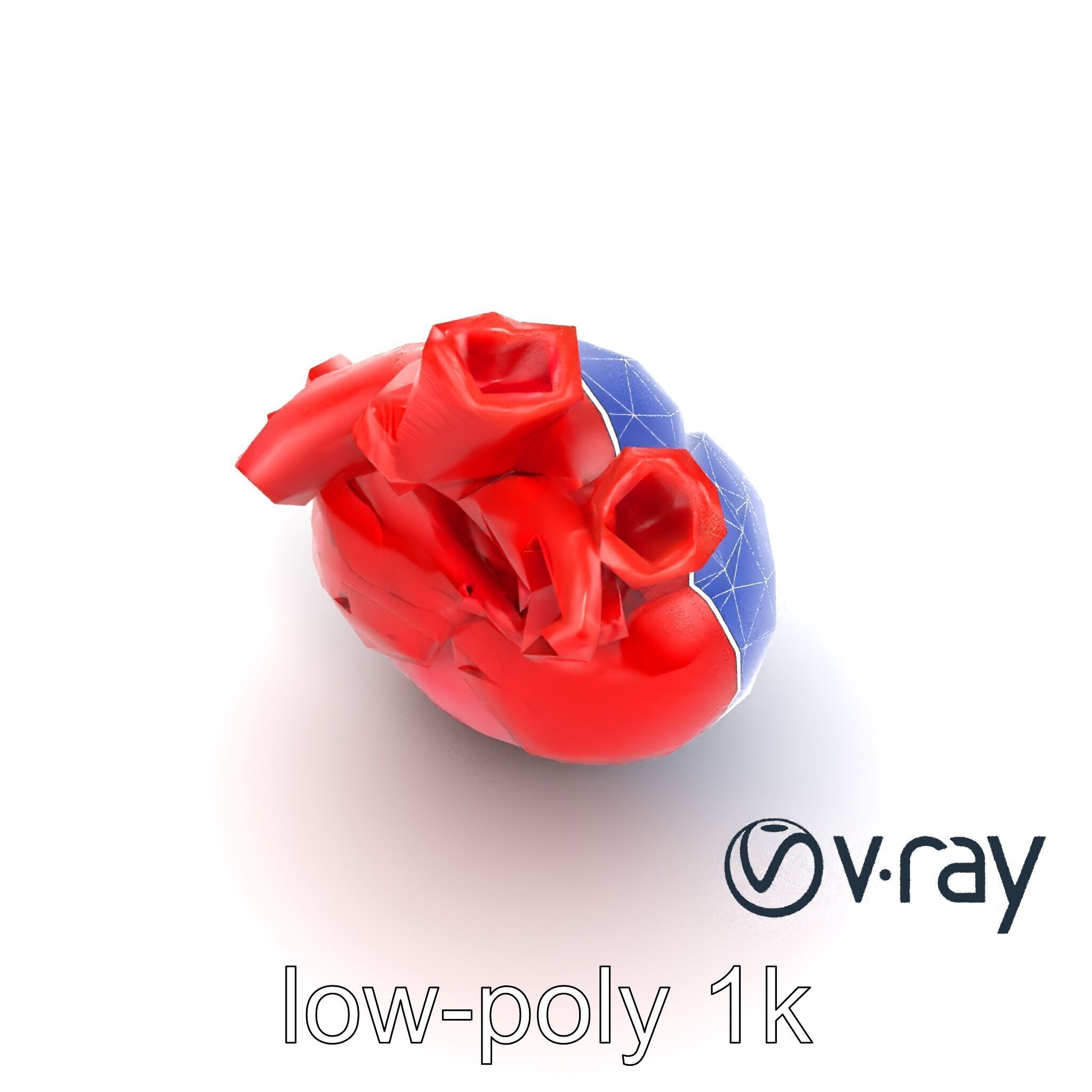 Realistic Human Heart 3D model pack Low-poly 3D model_29