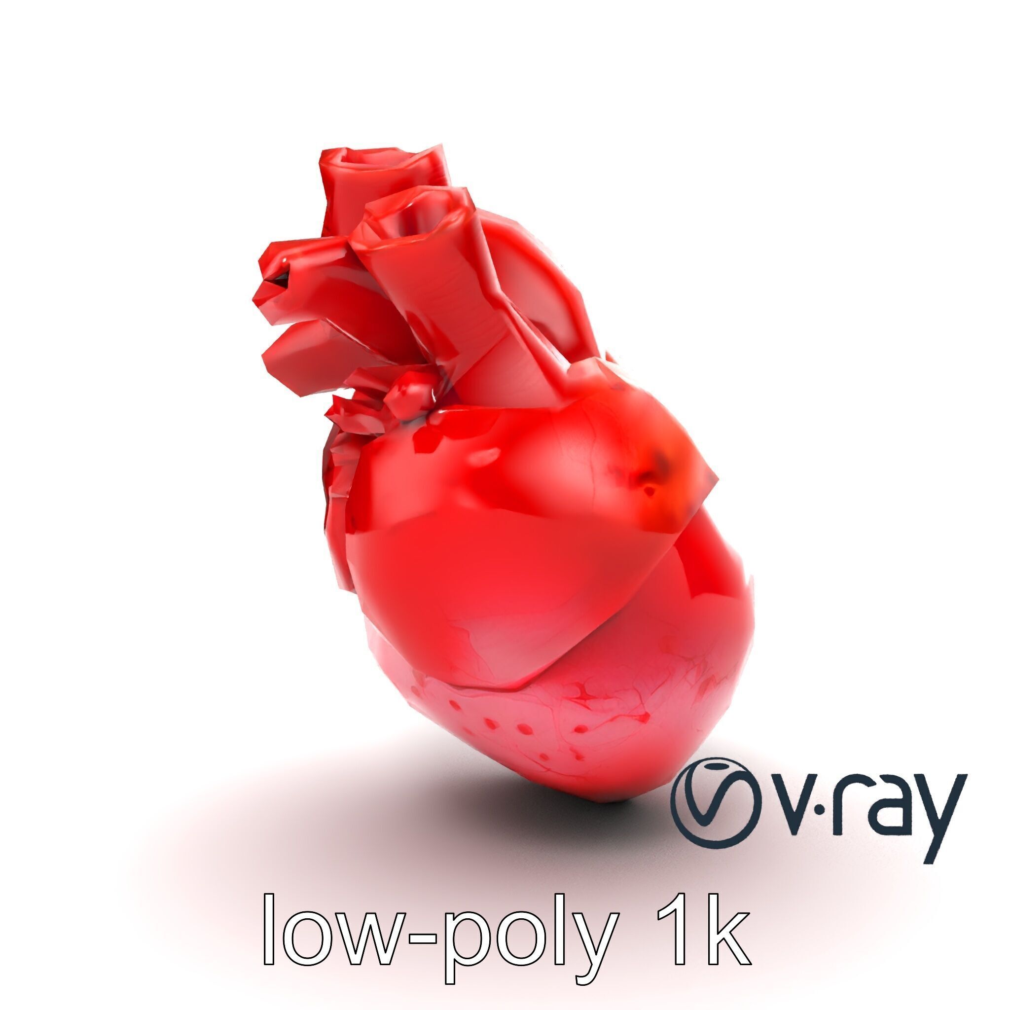 Realistic Human Heart 3D model pack Low-poly 3D model_16